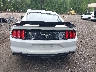1FA6P8TH8K5****** Usados 2019 Ford Mustang