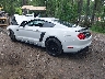 1FA6P8TH8K5****** Salvamento y Reparables 2019 Ford Mustang en Suffolk