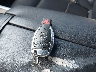 WDDHF5KB3EA****** Salvage 2014 Mercedes-Benz E 350 in Florida State