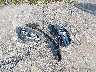WDDHF5KB3EA****** Wrecked 2014 Mercedes-Benz E 350 in Florida State