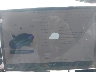 5YJ3E1EB5PF****** Repairable 2023 Tesla Model 3