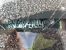 5N1BT3BB4TC****** Usados 2026 Nissan Rogue en Cincinnati