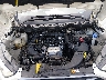 MAJ3S2GE9MC****** Reparables 2021 Ford Ecosport en Lexington