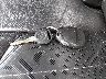 5GAKRBKD8FJ****** Salvage 2015 Buick Enclave in Kentucky State