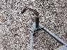 4YMUL1015GV****** Repairable 2016 Car Other in Manchester