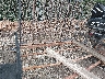 4YMUL1015GV****** Used and Repairable 2016 Car Other in New Hampshire State