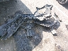 KMHRB8A37PU****** Wrecked 2023 Hyundai Venue in North Carolina State