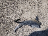 1GNKRGKDXHJ****** Wrecked 2017 Chevrolet Traverse in Oklahoma State