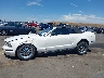 1ZVHT84N375****** Salvamento 2007 Ford Mustang