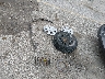 4T1BE46K29U****** Wrecked 2009 Toyota Camry in Iowa State