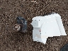 JTEBU5JR5H5****** Destrozados 2017 Toyota 4Runner en Estado de Arizona