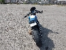 JYARN80E6PA****** Salvamento y Reparables 2023 Yamaha XSR900 en Estado de California