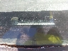 1FMYU03196K****** Used 2006 Ford Escape