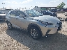 JTJYARBZ3K2****** Salvage and Wrecked 2019 Lexus NX 300 in Dallas