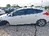 1FADP3N2XHL****** Usados 2017 Ford Focus en Estado de Texas