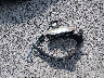 2G1WB58K481****** Destrozados 2008 Chevrolet Impala en Estado de Kentucky