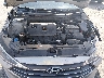 5NPD84LFXLH****** Repairable 2020 Hyundai Elantra in New Orleans East