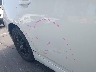 JTDKN3DU7F1****** Repairable 2015 Toyota Prius