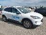 1FMCU0G61LU****** Salvage and Wrecked 2020 Ford Escape in San Diego
