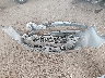 JTNK4RBE4K3****** Destrozados 2019 Toyota Corolla en Estado de Arizona