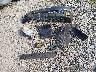 4S4BRCCC1D3****** Wrecked 2013 Subaru Outback in Washington State