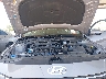 KMHLL4DG6SU****** Repairable 2025 Hyundai Elantra in Fresno