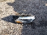 4JGDA5JB0JB****** Wrecked 2018 Mercedes-Benz GLE-Class in Texas State