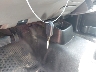 1FMZU67E03U****** Salvamento 2003 Ford Explorer en Estado de Texas