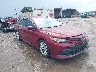 4T1B11HK9KU****** Salvage and Wrecked 2019 Toyota Camry in Tampa