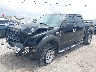 1FTPW14564K****** Used and Repairable 2004 Ford F-150 in Tampa