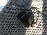 2GKALMEK7G6****** Salvage 2016 GMC Terrain in Maryland State