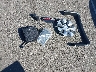 7SAYGDEE5NF****** Wrecked 2022 Tesla Model Y in California State