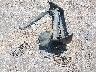 5TBRN34183S****** Wrecked 2003 Toyota Tundra in Mississippi State