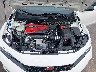 JHMFL5G47SX****** Repairable 2025 Honda Civic Type R in Long Island