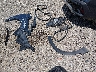 KNDEU2AA3S7****** Destrozados 2025 Kia Seltos en Estado de Luisiana