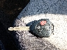 JTDKTUD32ED****** Salvage 2014 Toyota Yaris in Kentucky State