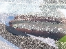 JHLRD78852C****** Used 2002 Honda CR-V in Phoenix