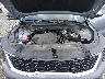 5XYRG4JC6SG****** Reparables 2025 Kia Sorento en Elkton