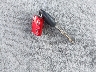 1GKDS13S032****** Salvamento 2003 GMC Envoy en Estado de Florida