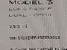 5YJ3E1EB4SF****** Salvamento 2025 Tesla Model 3