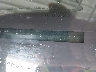 4T1BF28B81U****** Used 2001 Toyota Avalon in Tampa North
