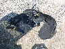 1GNEVGKS3TJ****** Wrecked 2026 Chevrolet Traverse in Pennsylvania State