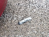 2G11Z5S37K9****** Destrozados 2019 Chevrolet Impala en Estado de Ohio