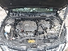 5NPEB4AC3EH****** Reparables 2014 Hyundai Sonata en Suffolk