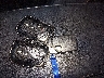 JTHBK1EG9B2****** Salvage 2011 Lexus ES 350 in Kentucky State