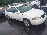 3N1CB51D46L****** Salvage and Wrecked 2006 Nissan Sentra in Raleigh