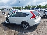 5J6RM4H53DL****** Salvamento y Reparables 2013 Honda CR-V en Culpeper