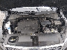 5XYPGDA50LG****** Repairable 2020 Kia Sorento in Knoxville