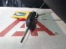 1FADP3F20GL****** Salvage 2016 Ford Focus in Florida State