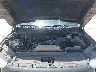 1FTEW1EP1MF****** Reparables 2021 Ford F-150 en Dallas